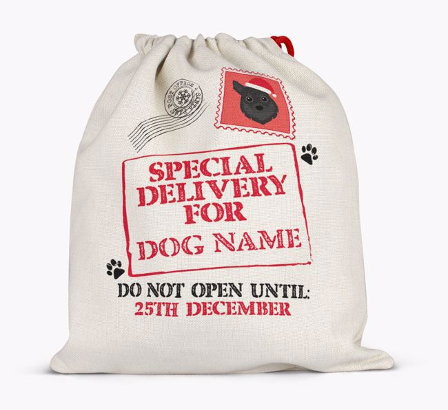 Special Delivery for {dogsName}: Personalized {breedFullName} Santa Sack